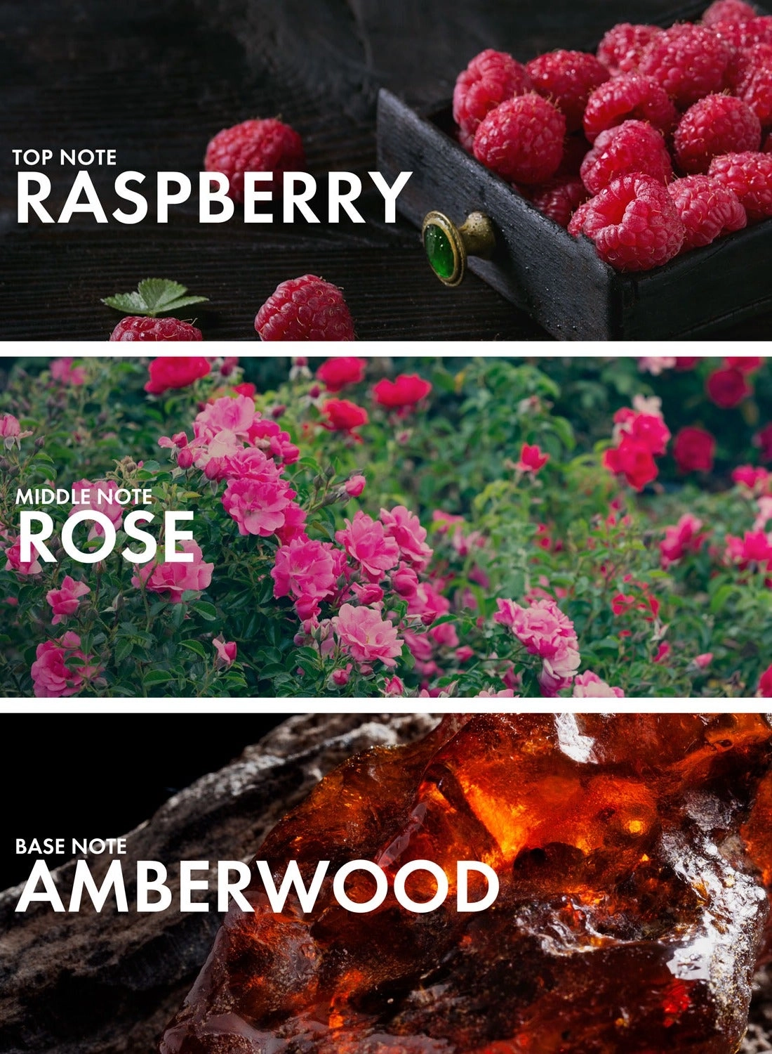 Currant Benzoin Eau de Parfum 50 ml