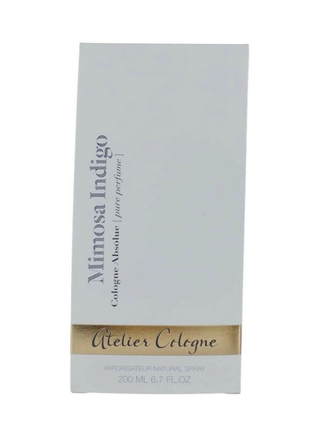 Mimosa Indigo - 200ml