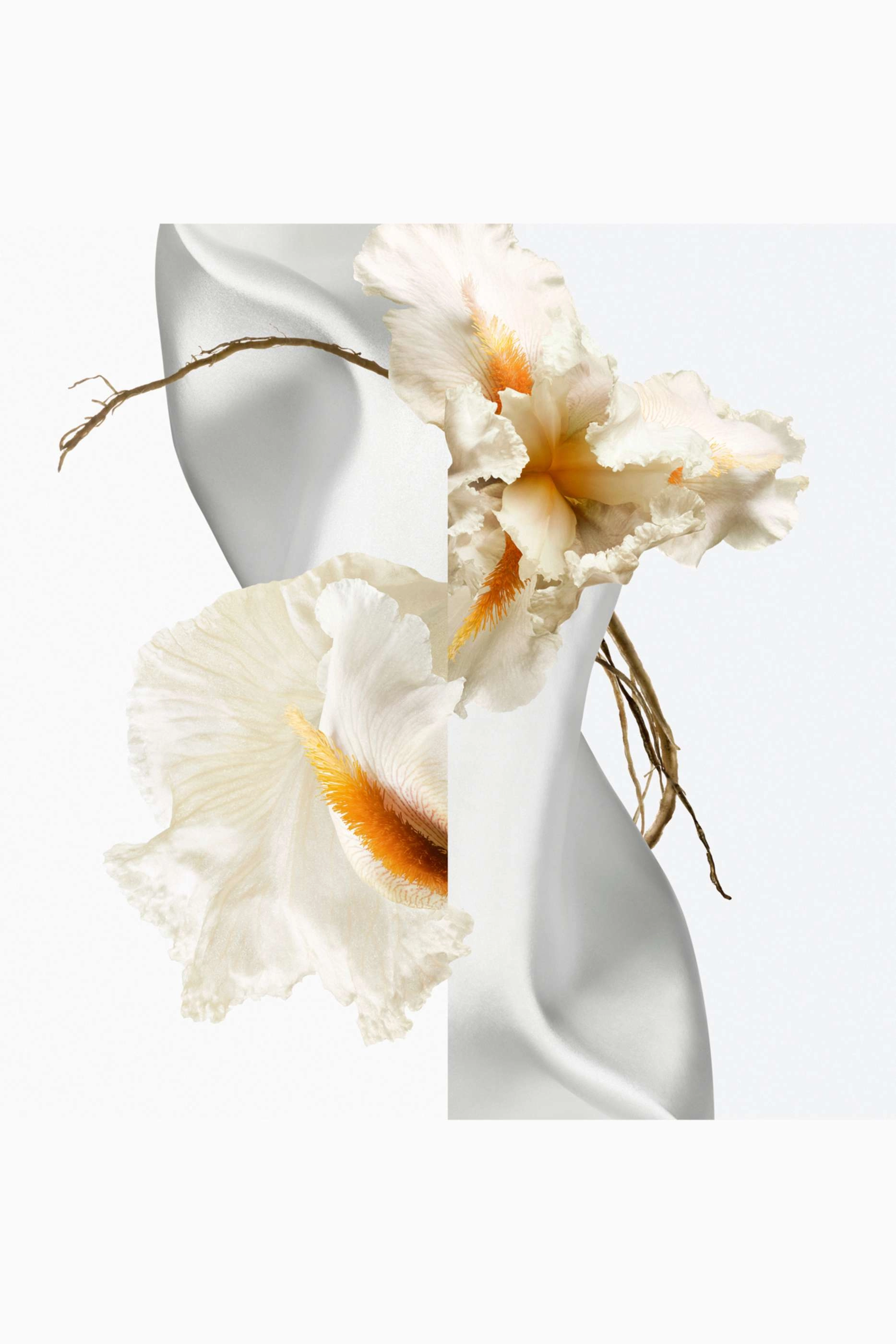 Musc Pallida Eau de Parfum 100ml