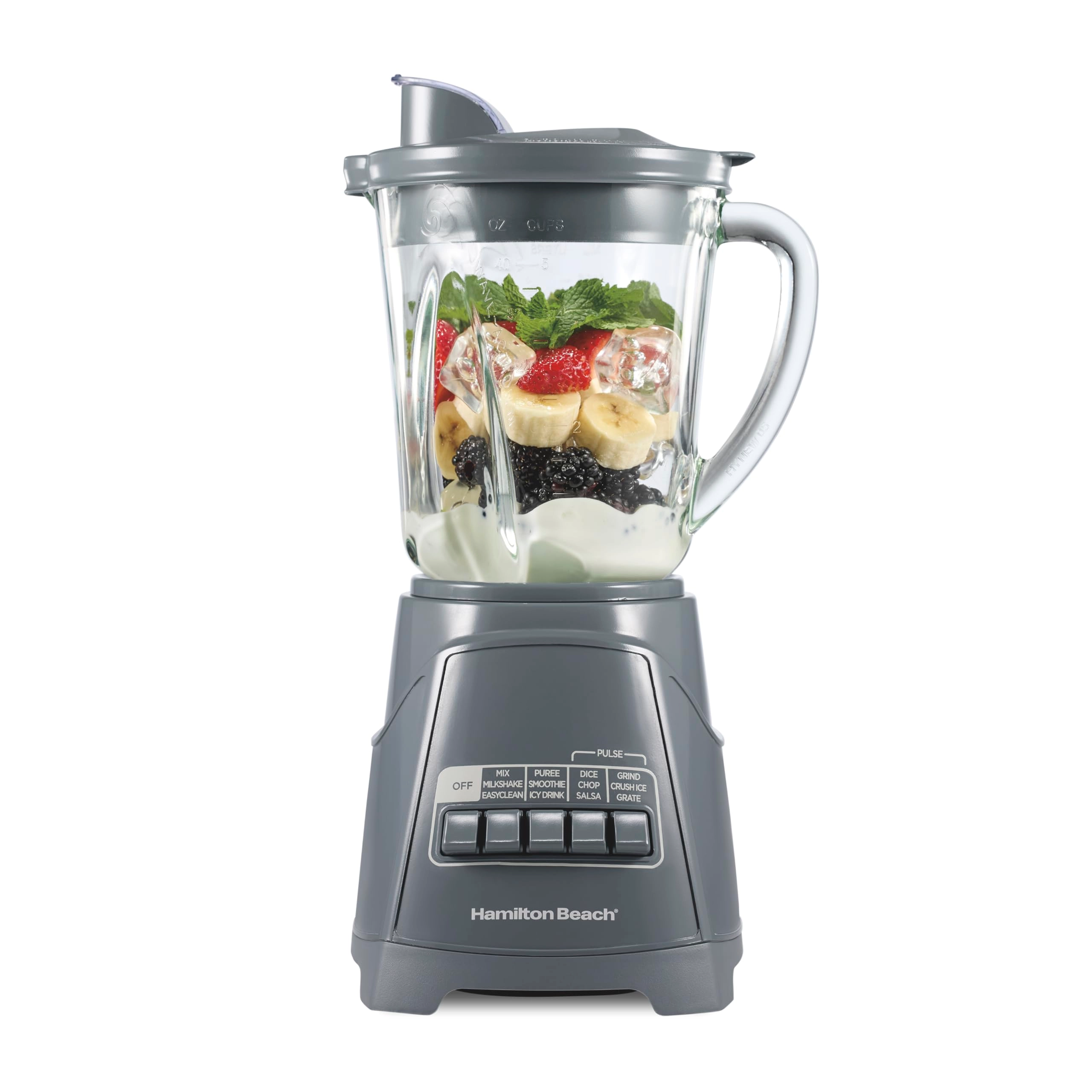 Hamilton Beach Brands Power Elite Blender - 700 W
