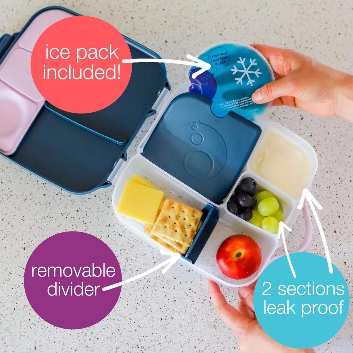Mini Bento Lunchbox - Multi Colour 3 +