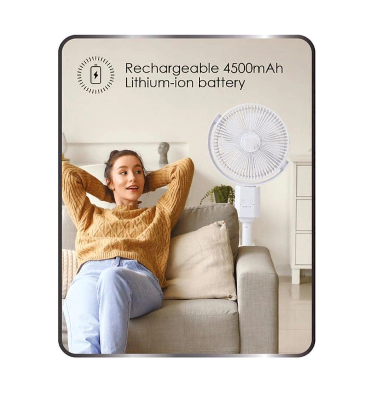 Rechargeable Fan