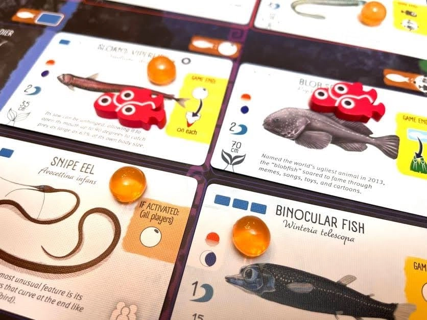 Finspan Upgrade Pack - Squishy Eggs and Wooden Fish Tokens