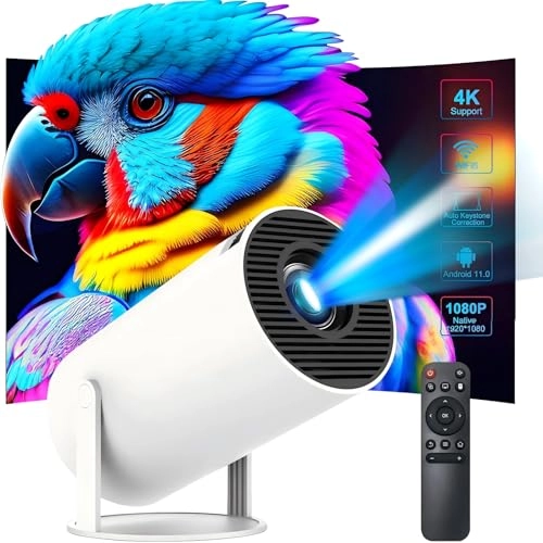 HY300PRO 1280 x 720 pixels