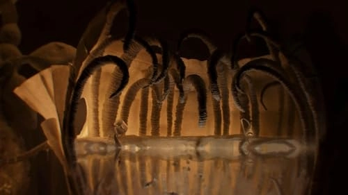 Papetura Craft Edition - PlayStation 5