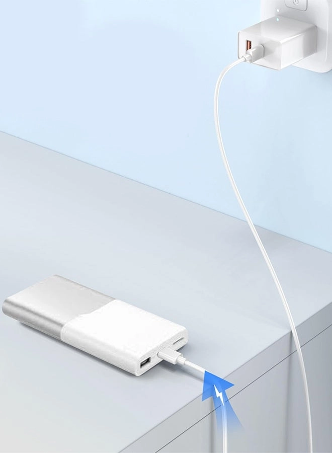 12000mAh - 100W