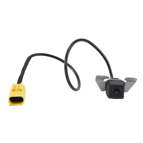 Backup Camera - Night Vision