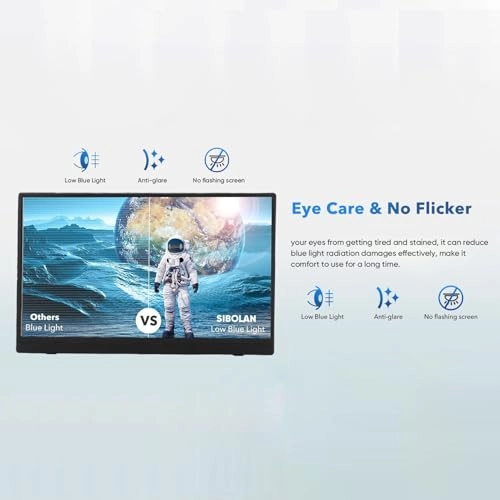 Portable Monitor - 2K DCI 1080p 15.6 Inches