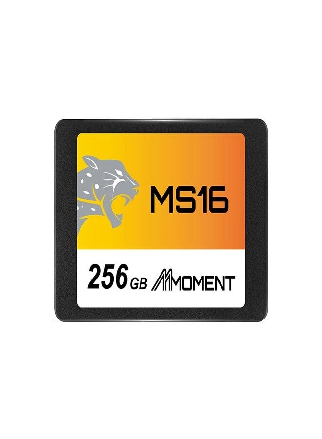 Moment Semiconductor, Inc MS16 - 256GB 2.5-inch