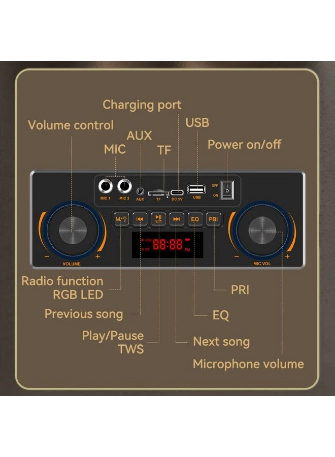 ZQS-L19 - two wireless microphones 40W