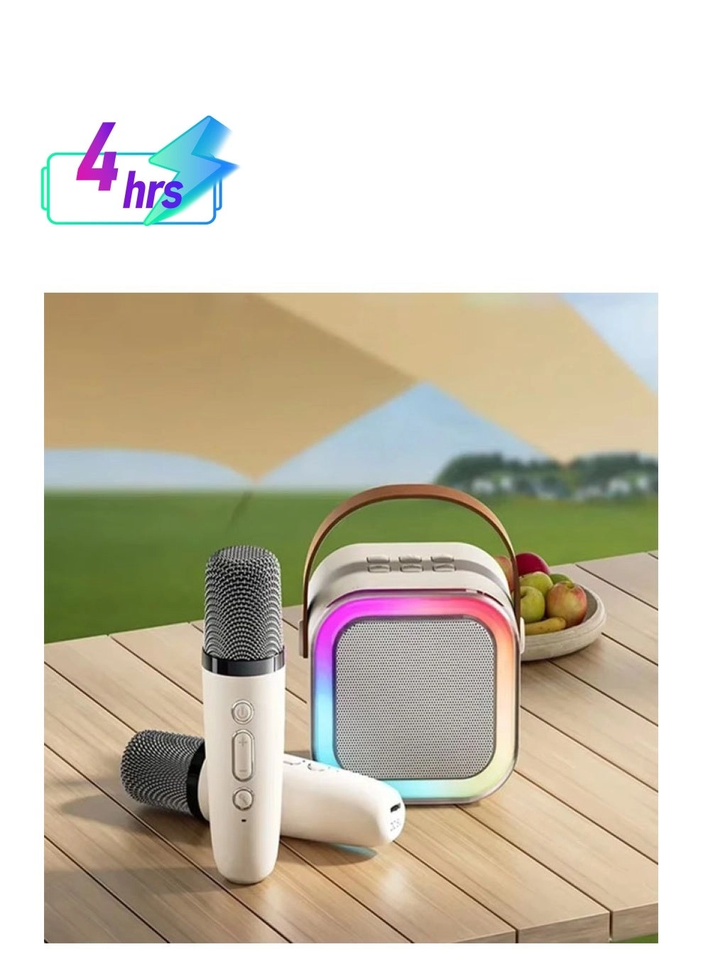 Karaoke Speaker Set - 2 wireless microphones