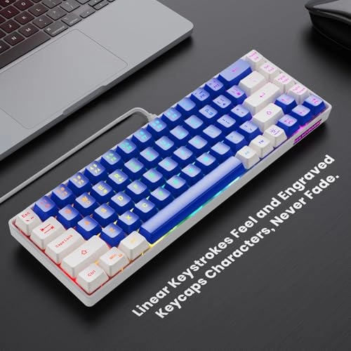 65% Gaming Keyboard - Wired