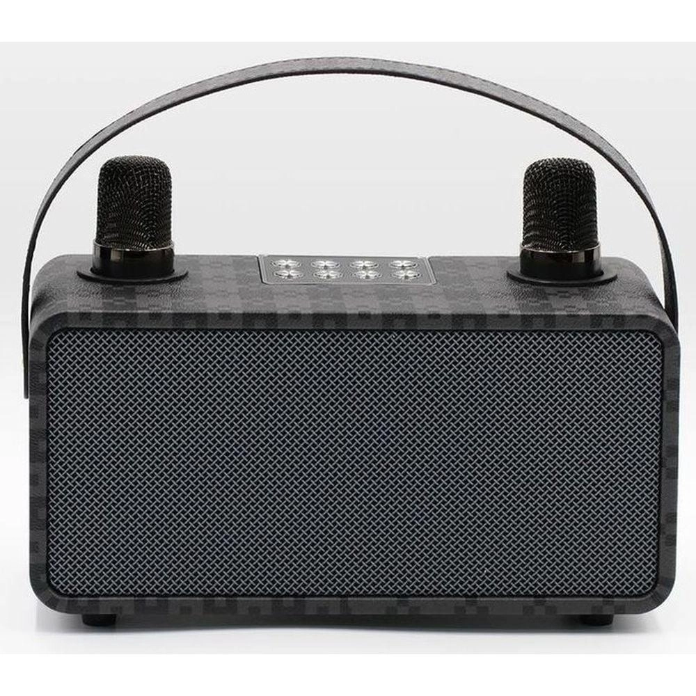 PulZ Mini Karaoke System - 2 Microphones