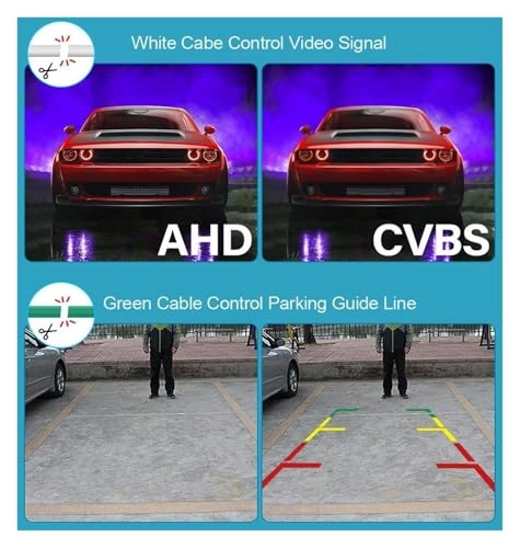 Rear View CCD - Night vision