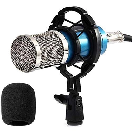 BM-800 XLR Microphone