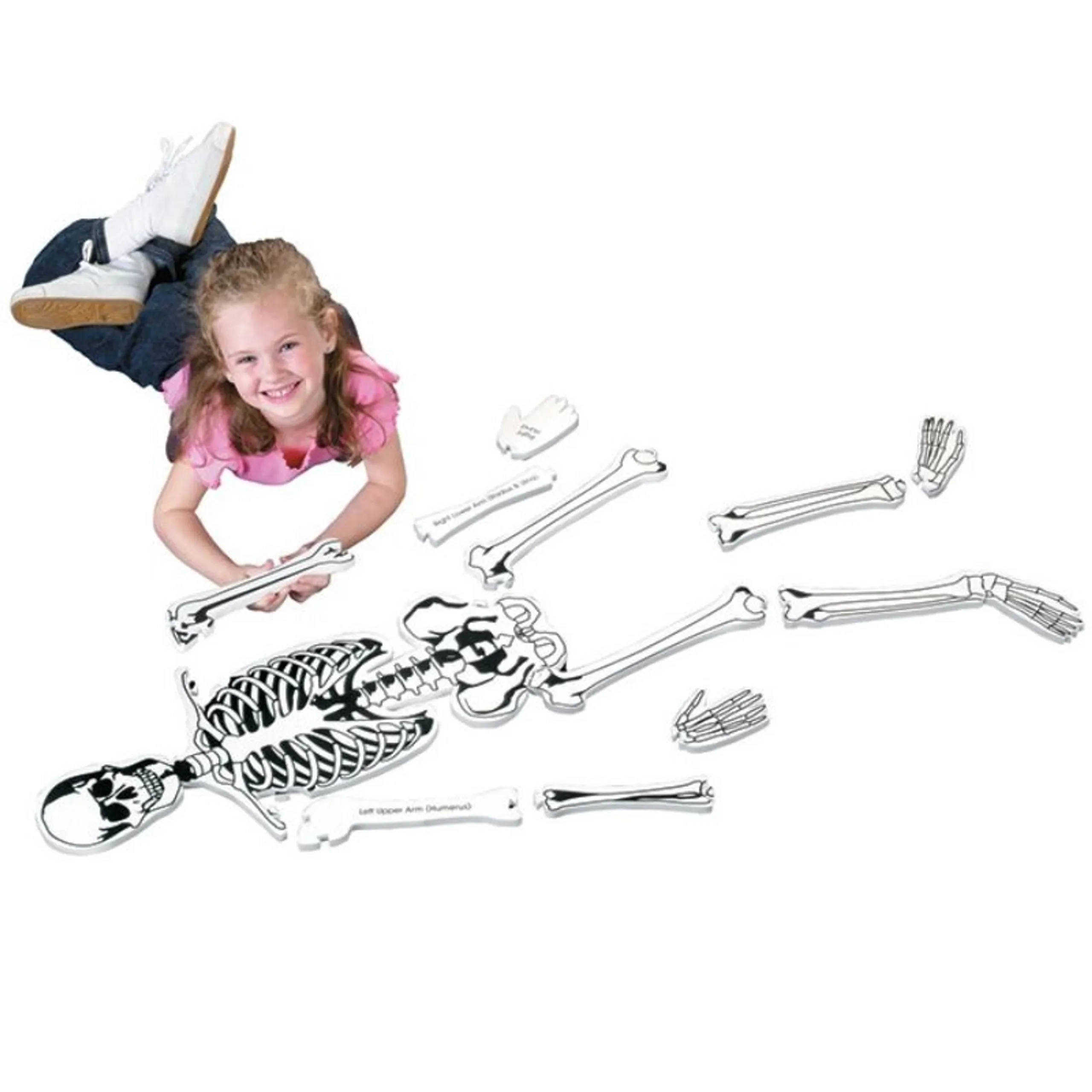 Skeleton Foam Floor Puzzle - 5+ Years 15 piece(s)