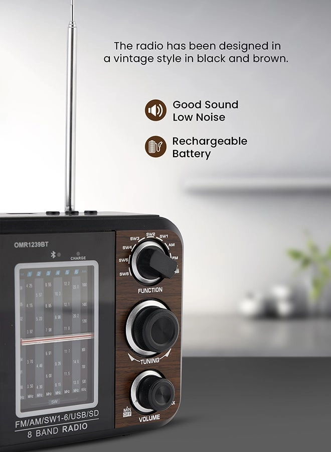 FM/AM/SW Radio & Music Player - Portable