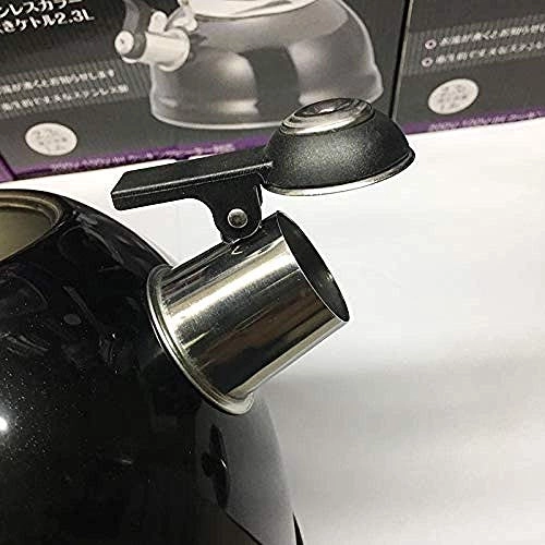Stainless Steel Kettle - 2.5L