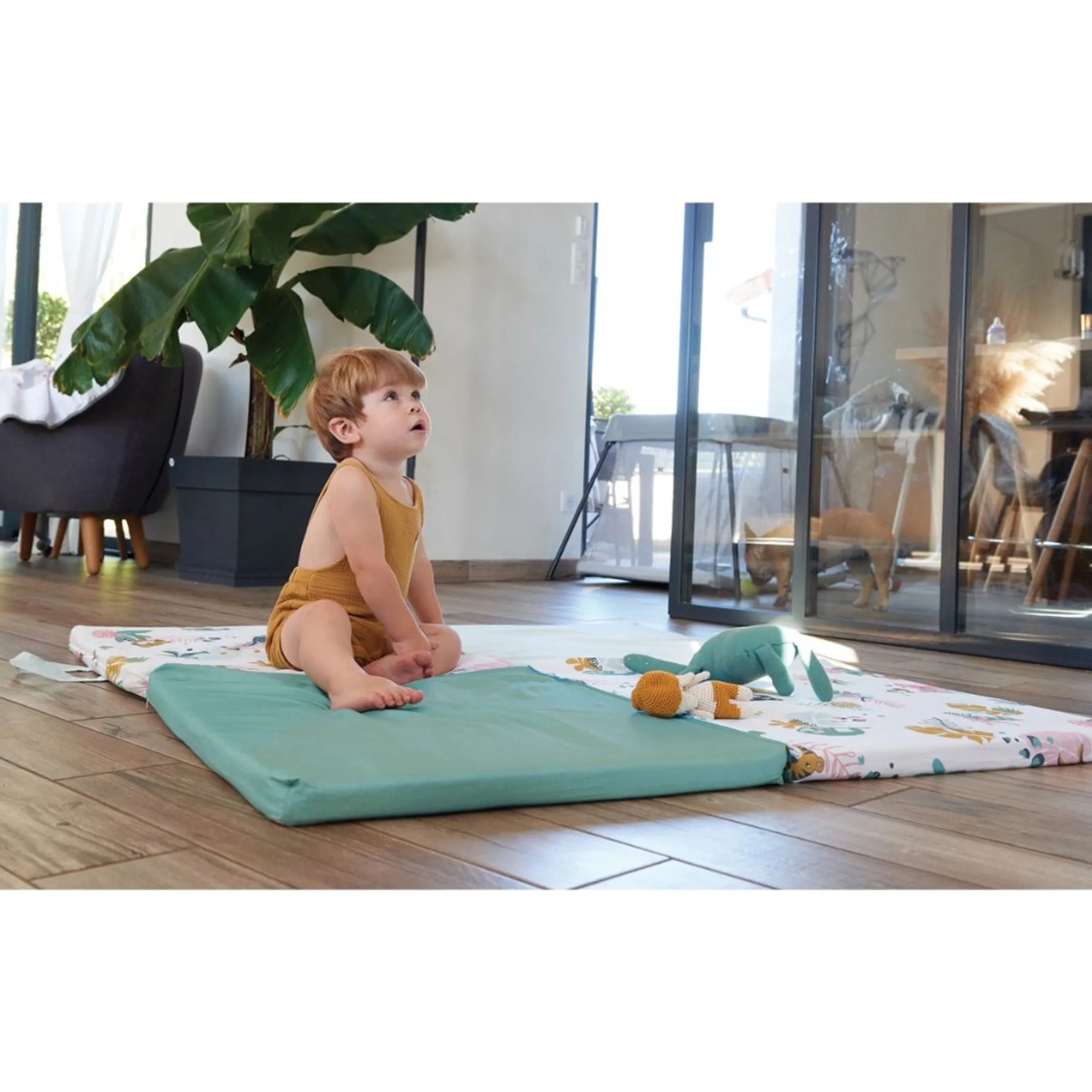 3 in 1 Smart And Fun Playmat - Jungle Buddies 0 months