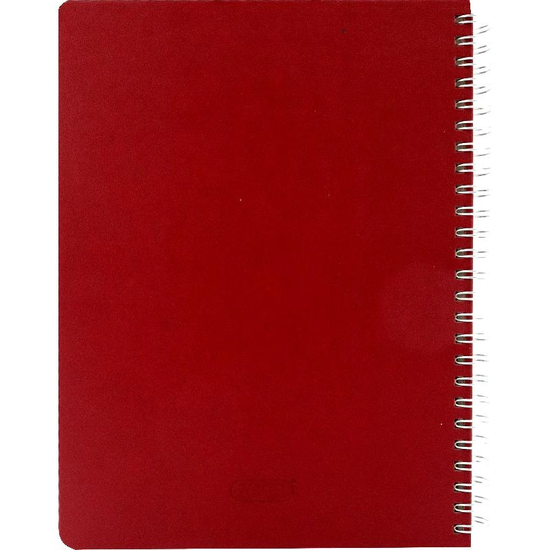 Notebook 19 X 26 cm Spiral - Grid 100 Sheets
