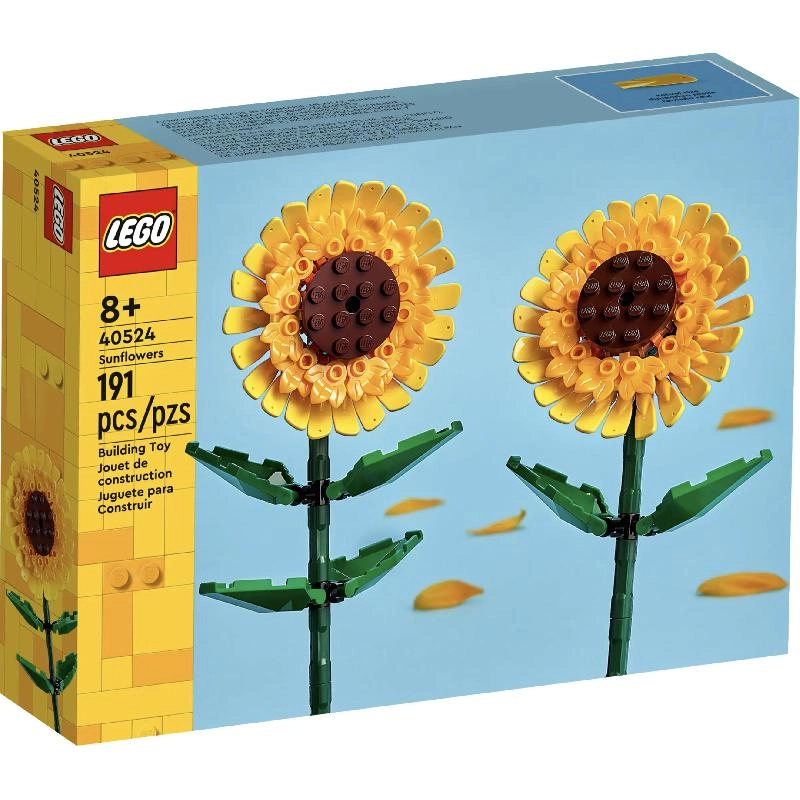 Sunflowers (40524)