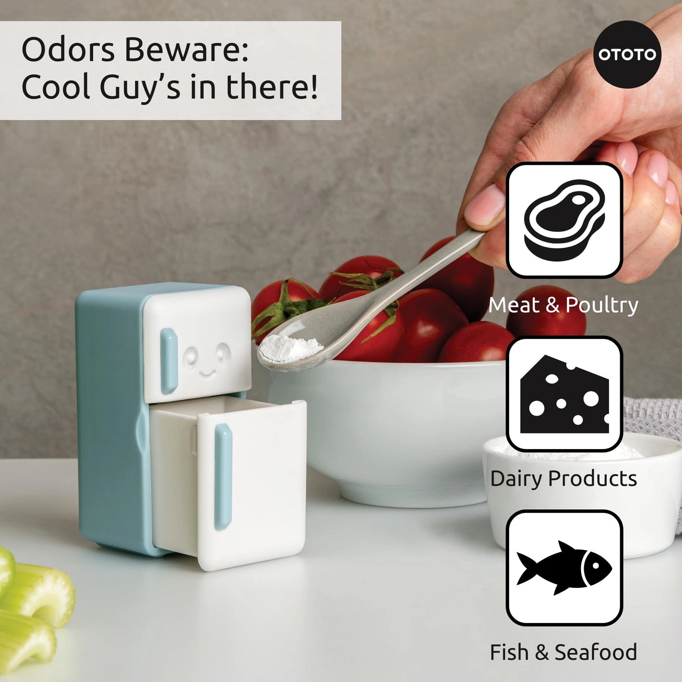 Fridge Deodorizer