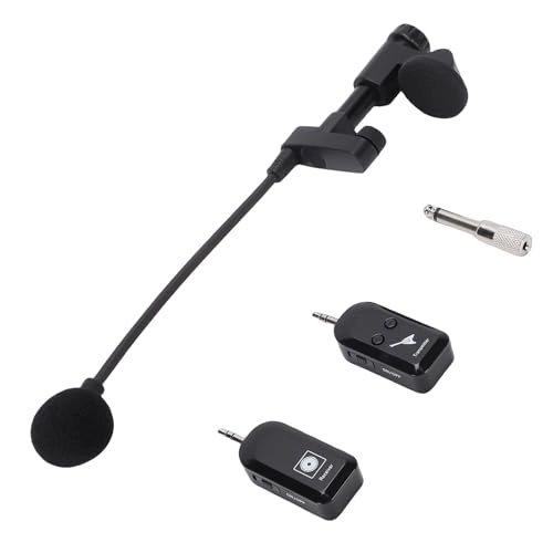 Instrument Microphone System - 1 2.4G Wireless