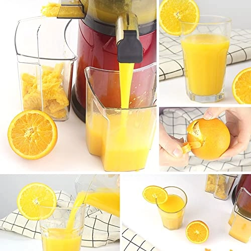 Wide Chute Slow Masticating Juicer Extractor - 250 watts 500 Milliliters