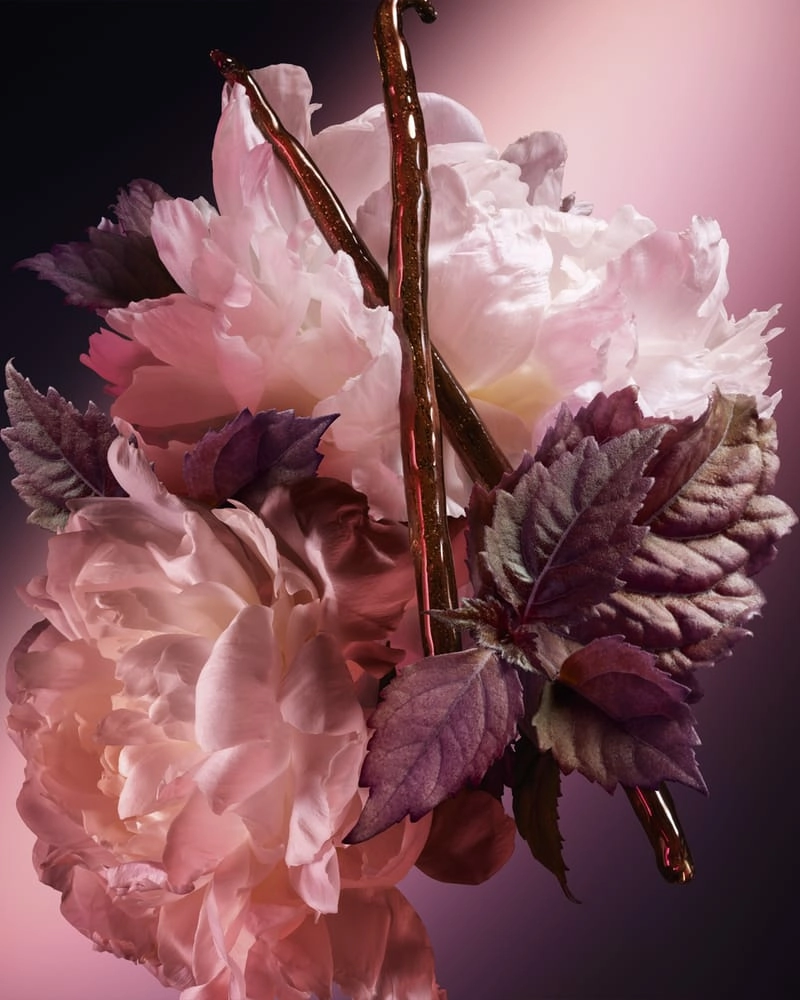 Eau De Parfum - 50 ml