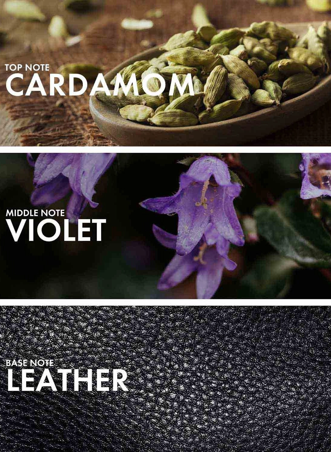 Oud Leather - Eau de Parfum 50ml