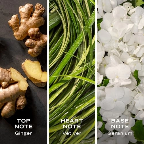 Color Green Eau de Toilette - 47.32 ml