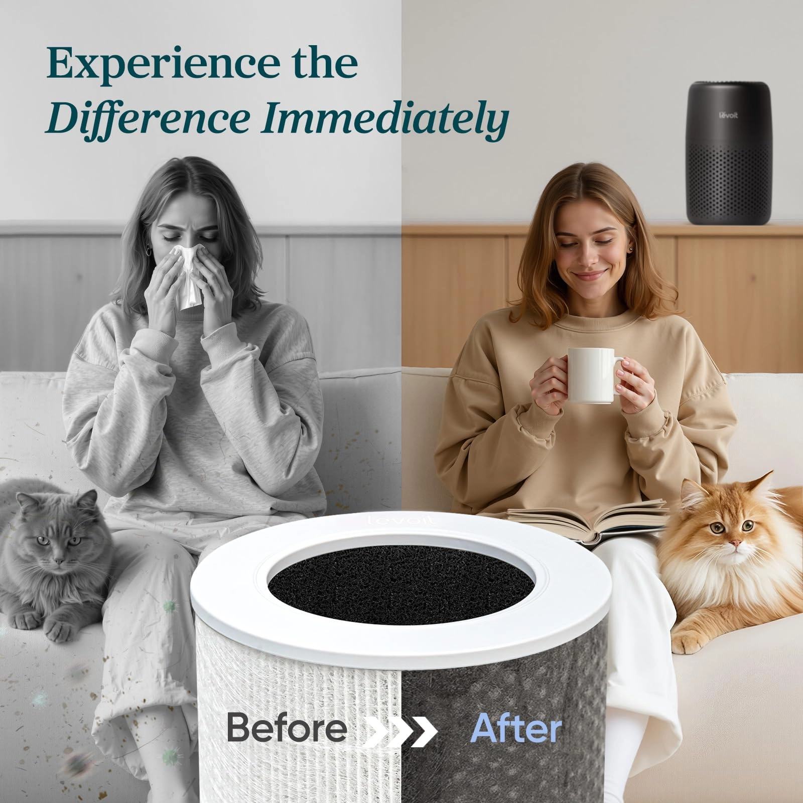 Core Mini - Ultra Quiet 34 sq. m