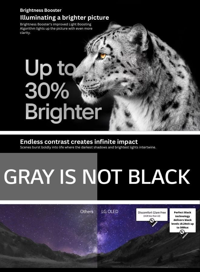 OLED48C46LA + AIR-FRYER