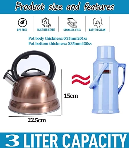 Stovetop Induction Whistling Kettle - 5L