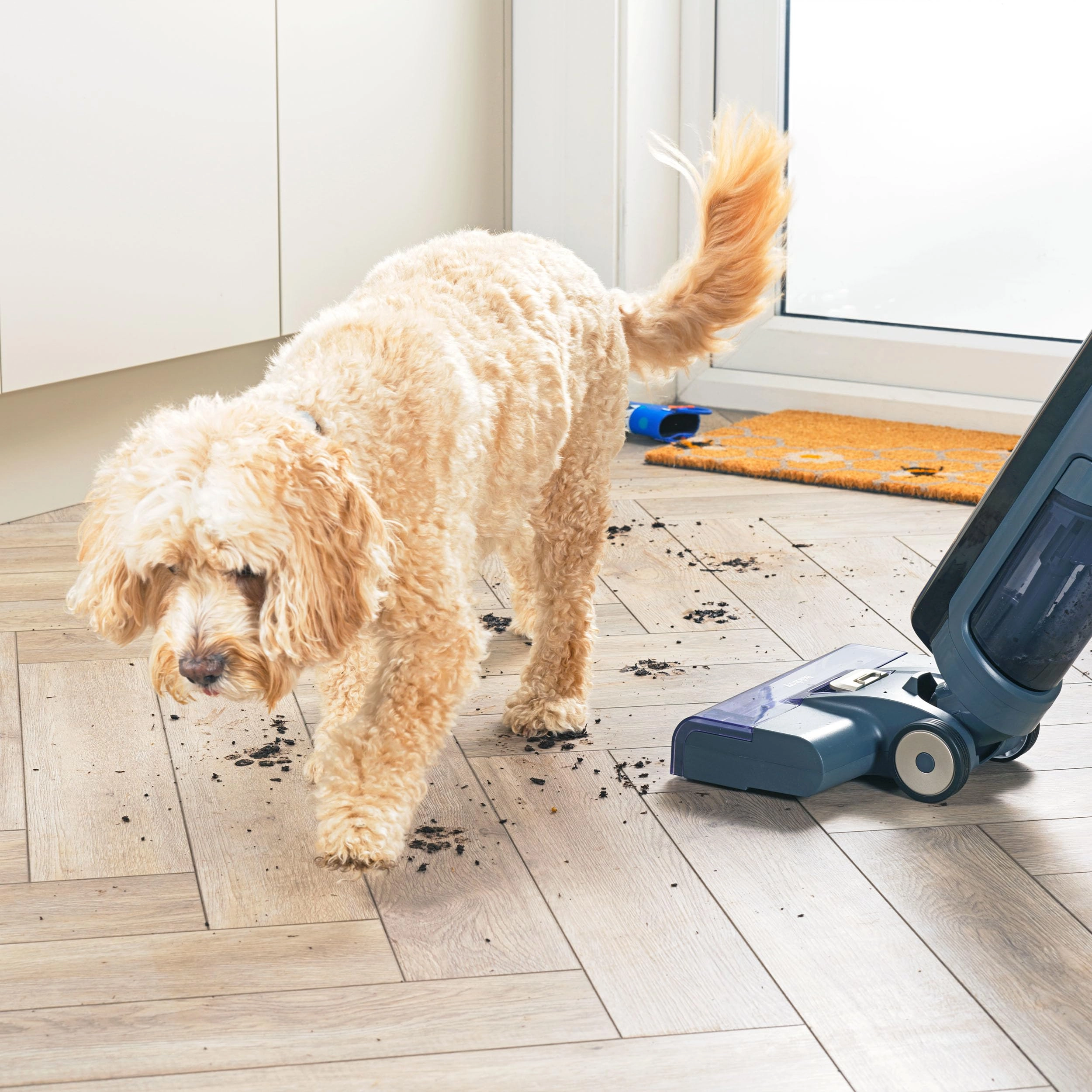 All-in-One Floor Cleaner - Wet/Dry 25 minutes