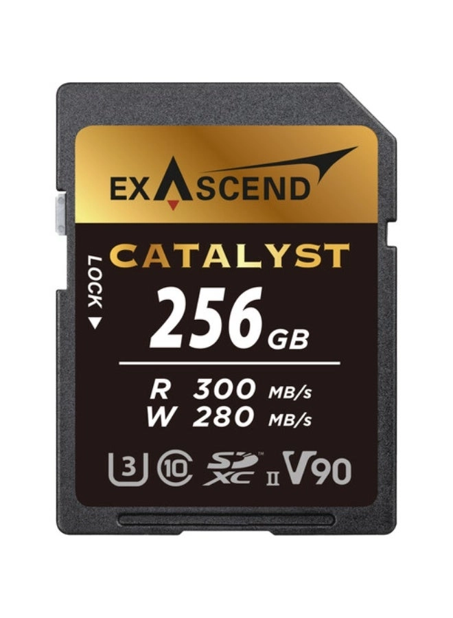 Exascend Catalyst - 256GB