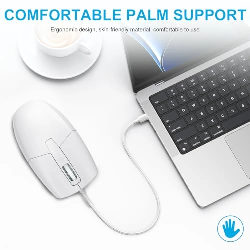 Type C Optical Mouse - USB