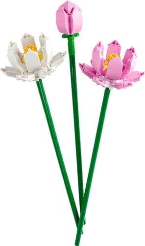 Lotus Flowers (40647) - Iconic