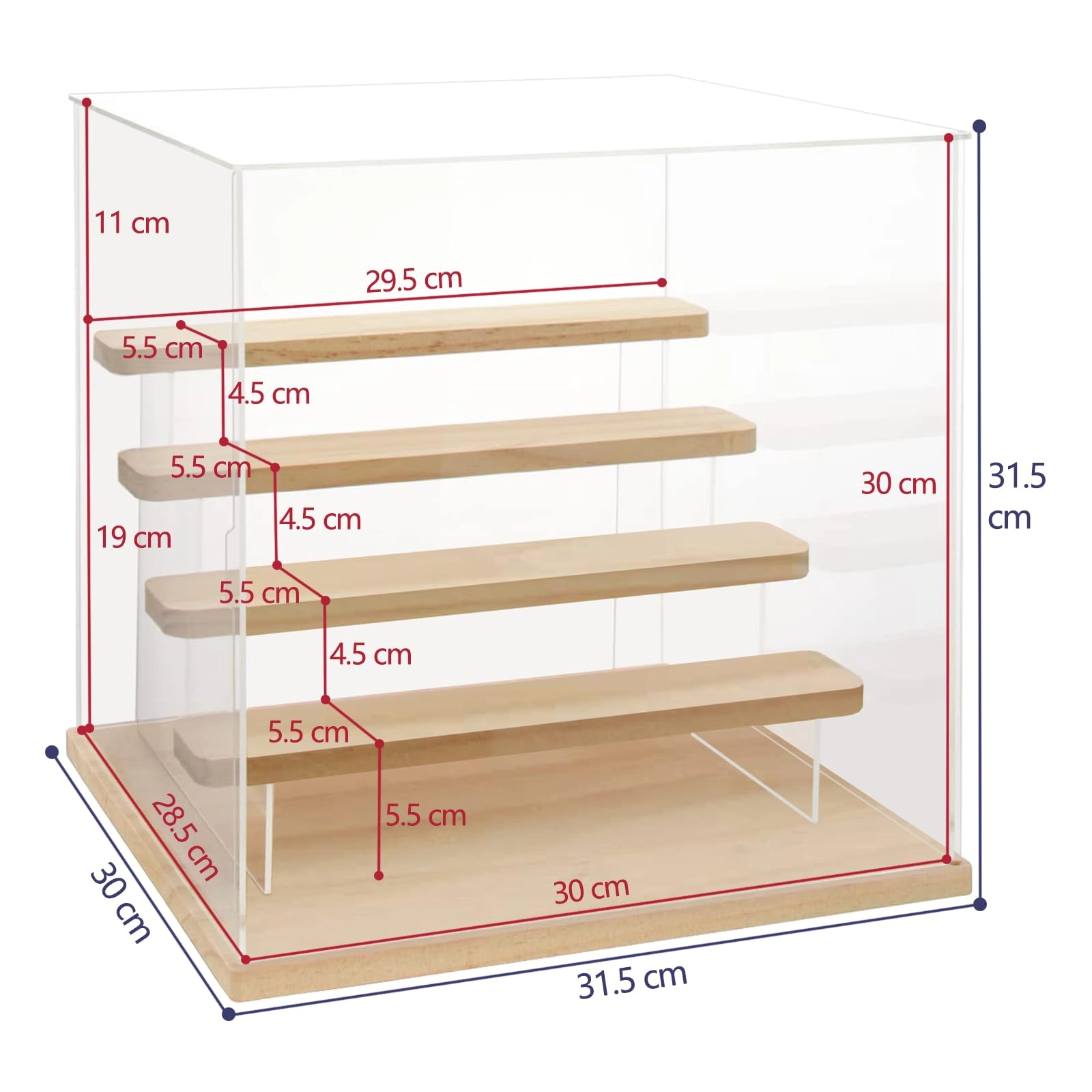 Acrylic Display Case