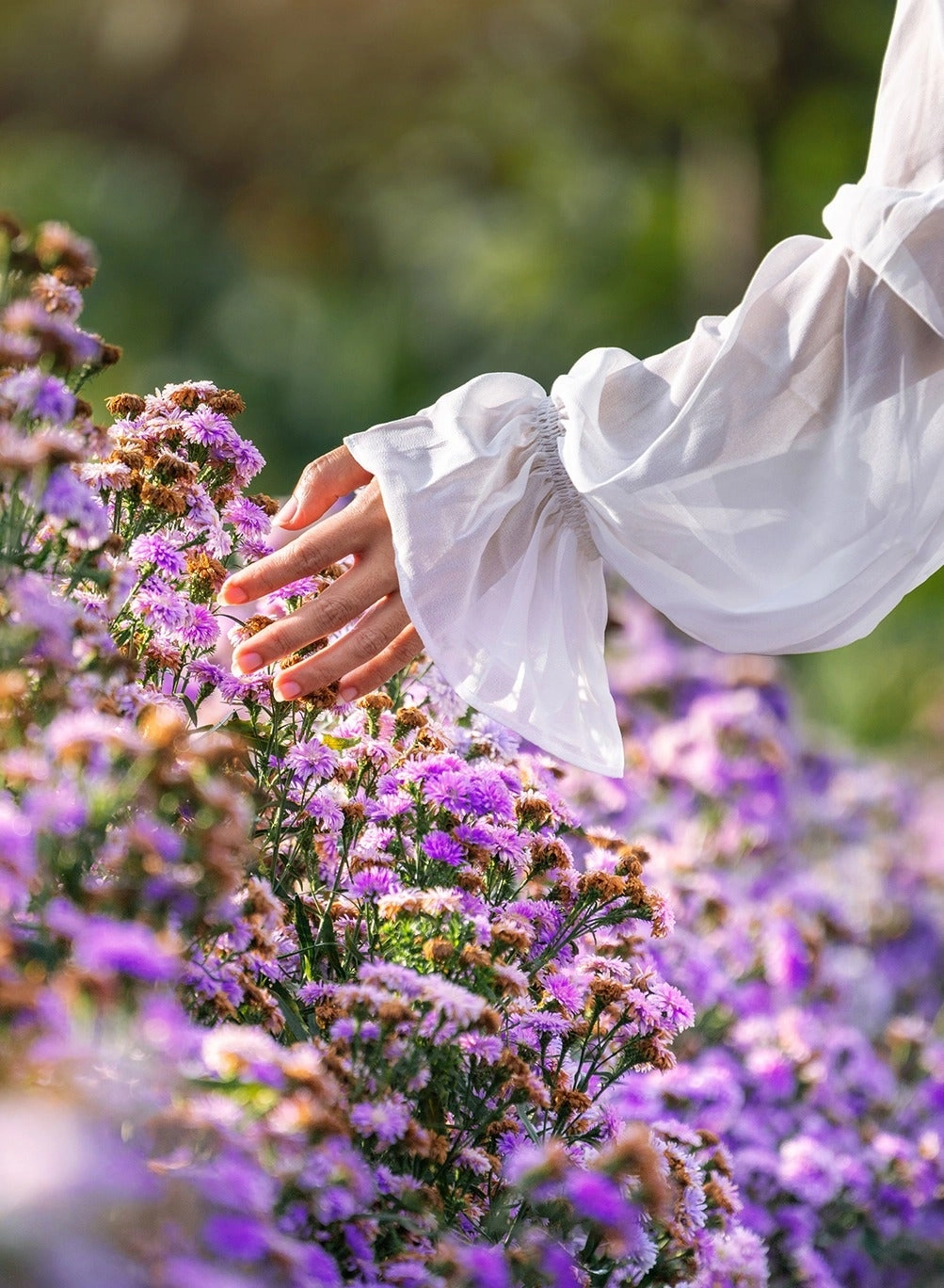 Paradise Escape Eau de Parfum 50ml