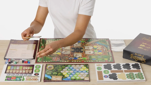 The Castles of Burgundy