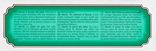Classic Strong Mint Toothpaste 25 ml