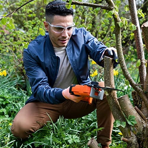 LS C13 - 40 Watt-hours