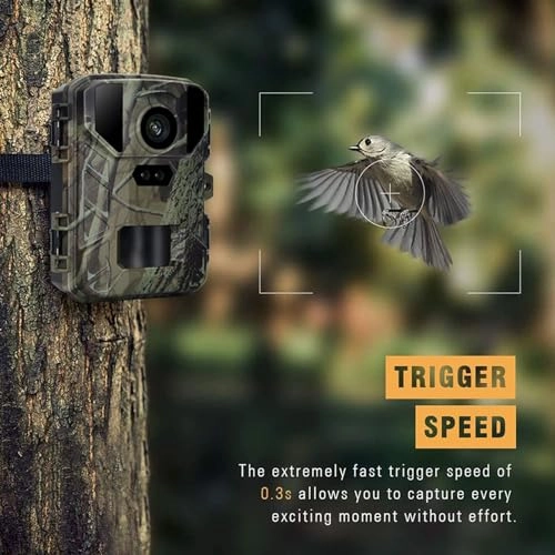 Trail Camera - 50 megapixel