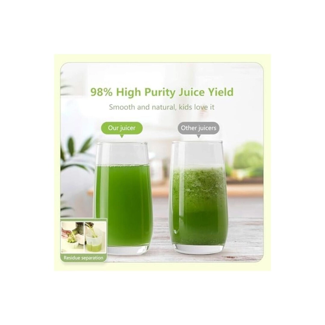 Juicer - 500W 450ML