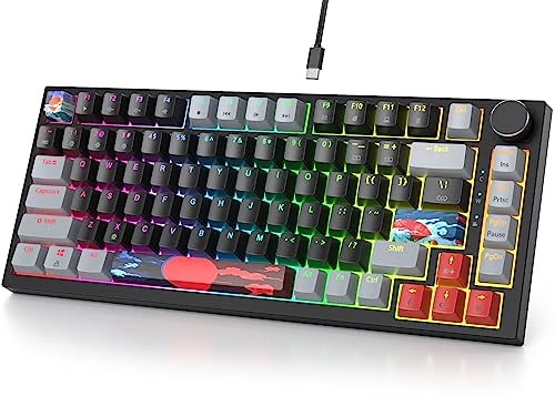 75% Mechanical Keyboard - Wired