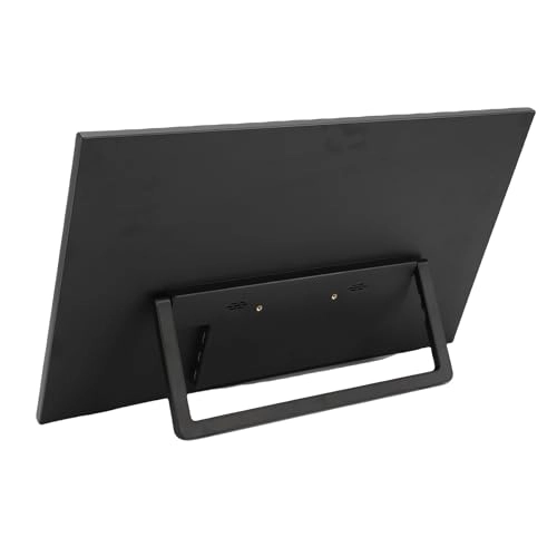 Portable Display - 1080P 18.5 inch