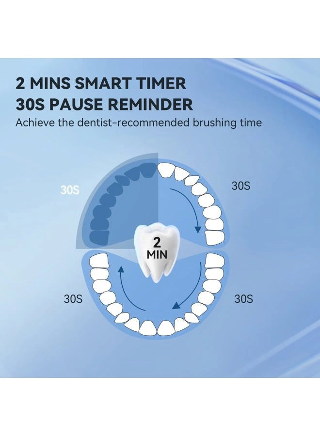 P200 - 6 Brush Heads Travel Case 60 Days