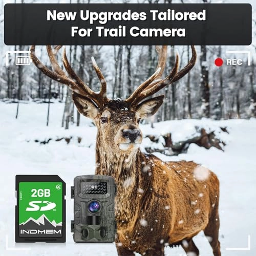 SD Card - 2GB