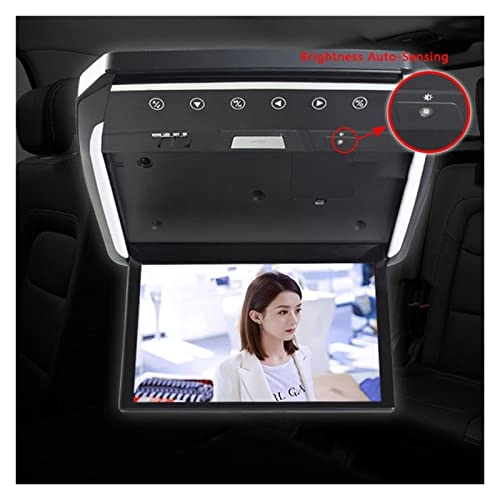 Car Ceiling Screen - 13.3 Inch